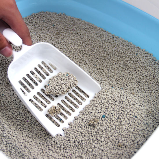 Piedras bentonita Vital Fun x 6kg carbon activado — foto 2