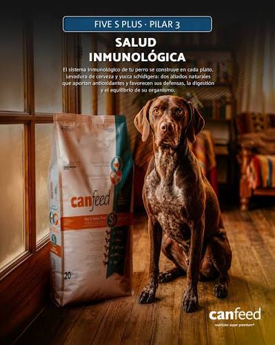 CANFEED PERRO ADULTO SMALL - MEDIUM BREED X15KG — foto 2