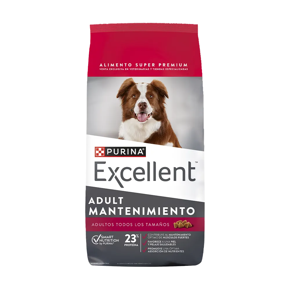 EXCELLENT MANTENIMIENTO PERRO ADULT0 - SUELTO