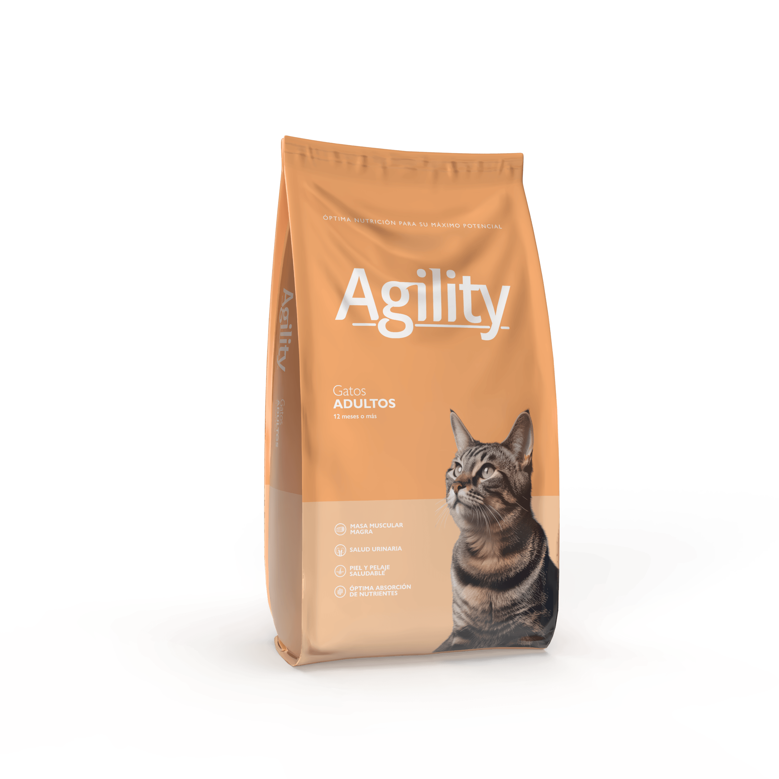 AGILITY GATO ADULTO X10KG
